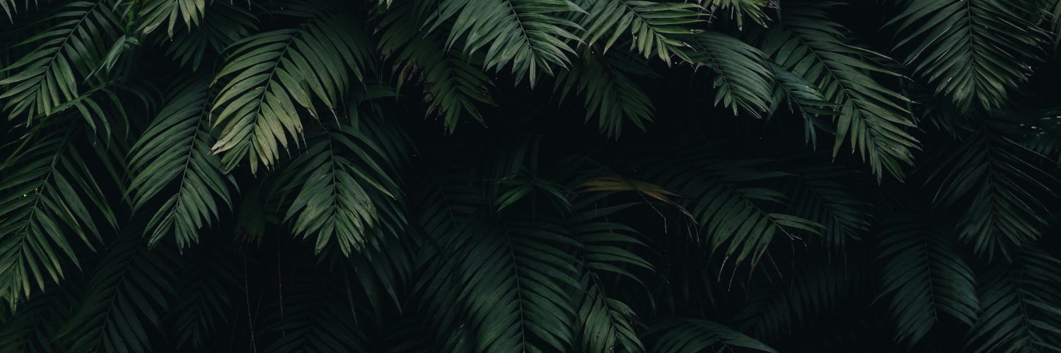 diogodiasdev's profile banner image
