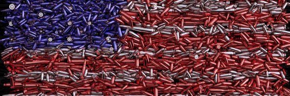 GunsAndLiberty's banner