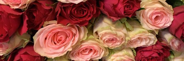 AzraKarim Profile Banner