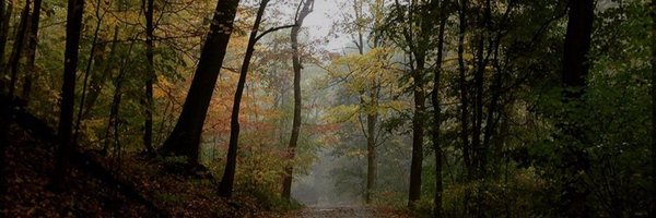 DhalgrenHogg87 Profile Banner