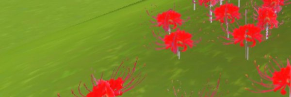Skull_s6 Profile Banner