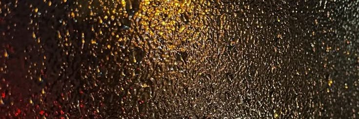 NoemySnche77444's profile banner image