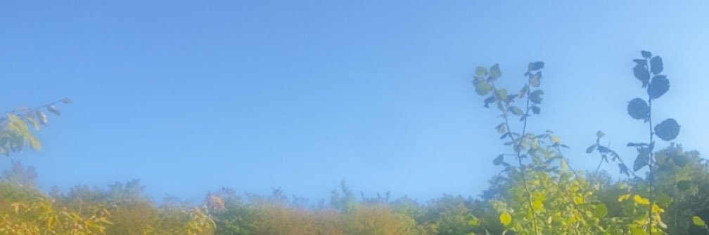 chloewlb's profile banner image
