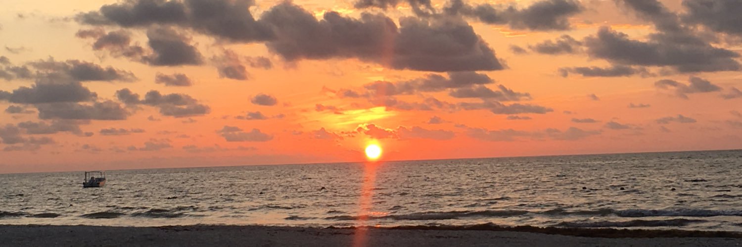Azumangin's profile banner image