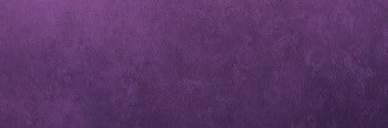 sofipaoli's profile banner image