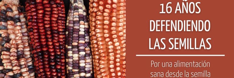 Semillas de Vida 🌽 banner