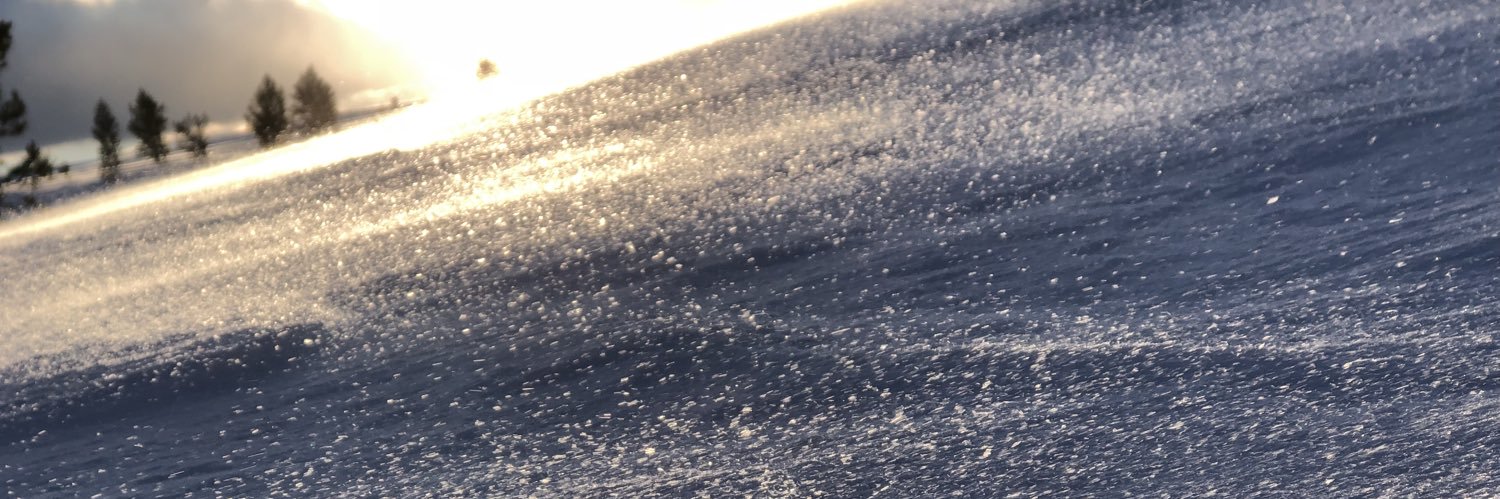 lisafridalind's profile banner image