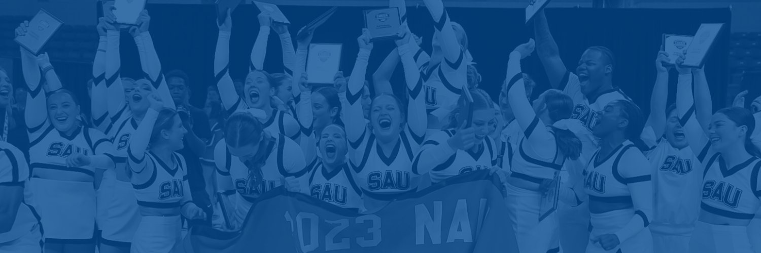 NAIA's banner