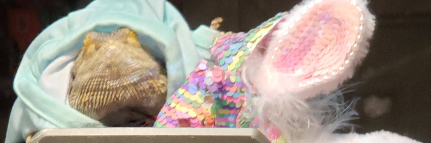 nannerkitty's profile banner image