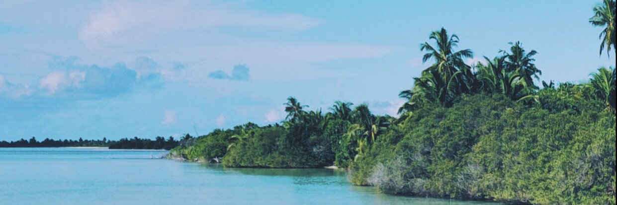 onliesst's profile banner image