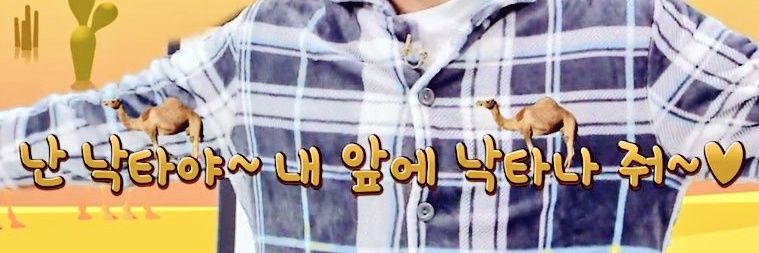 global_camel's profile banner image