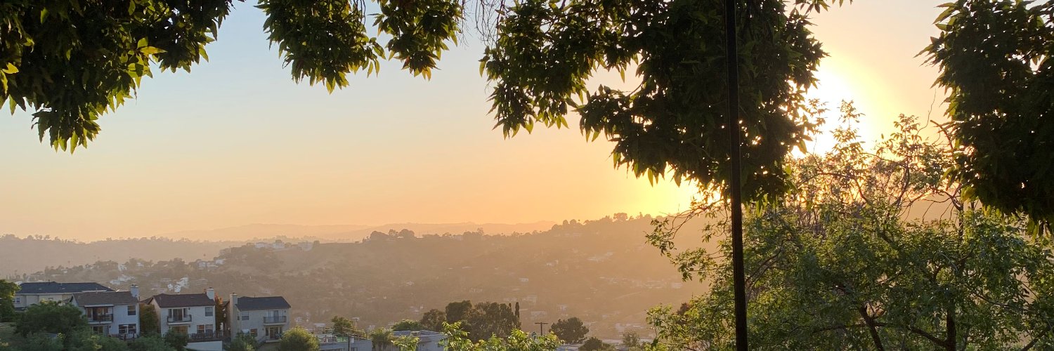 Kristen DiMercurio banner