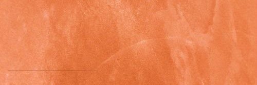 AubreySteed's profile banner image