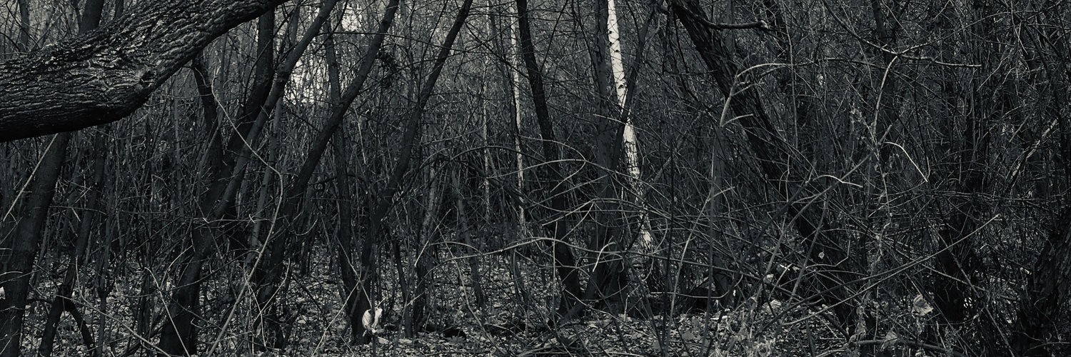 Lex_Kor31's profile banner image