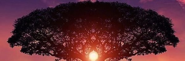 Hectorsoto8 Profile Banner