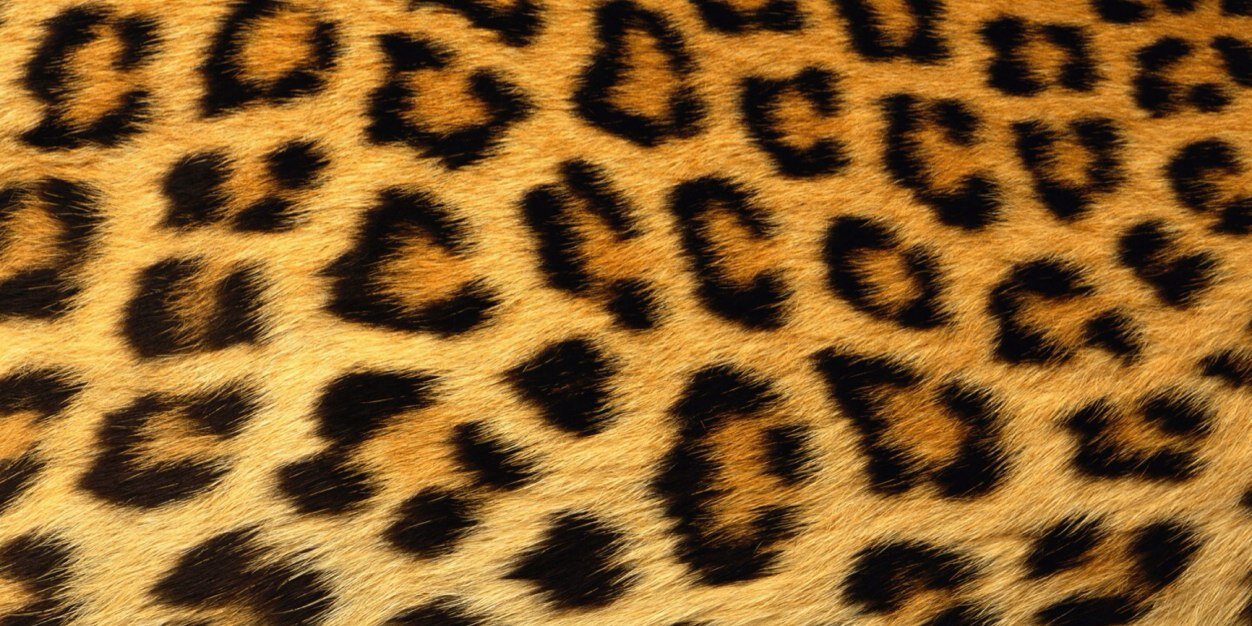 chanson101991's profile banner image