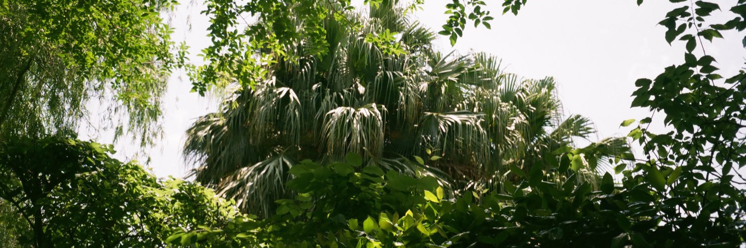 willotioti's profile banner image