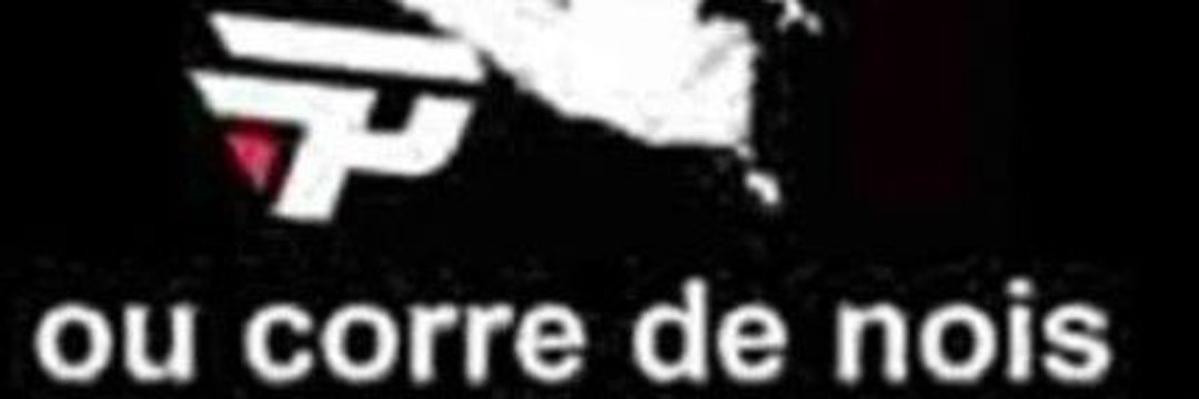 ODIO DA DESGRAÇADA DA PAIN GAMING. banner