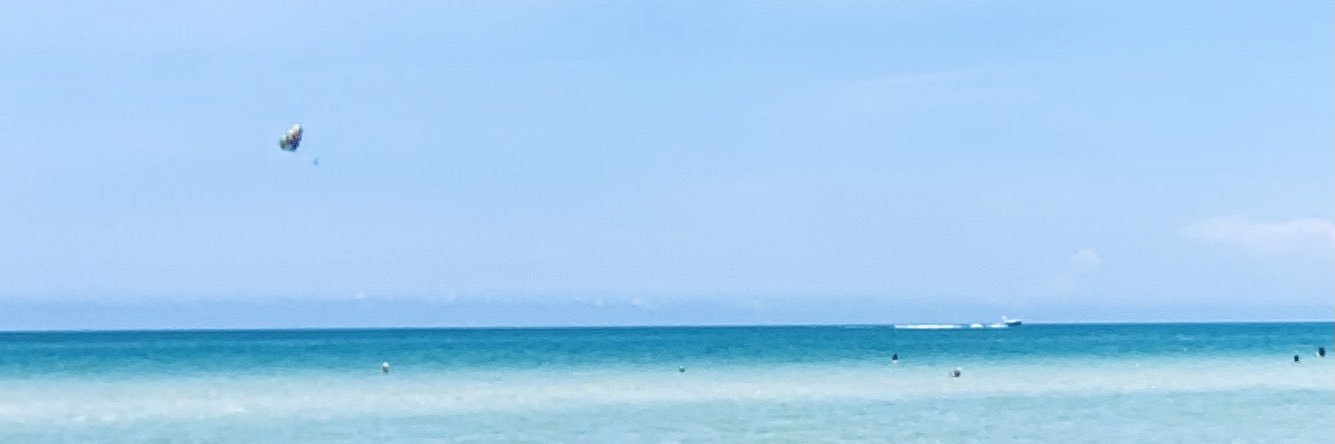 dirusciomarisol's profile banner image