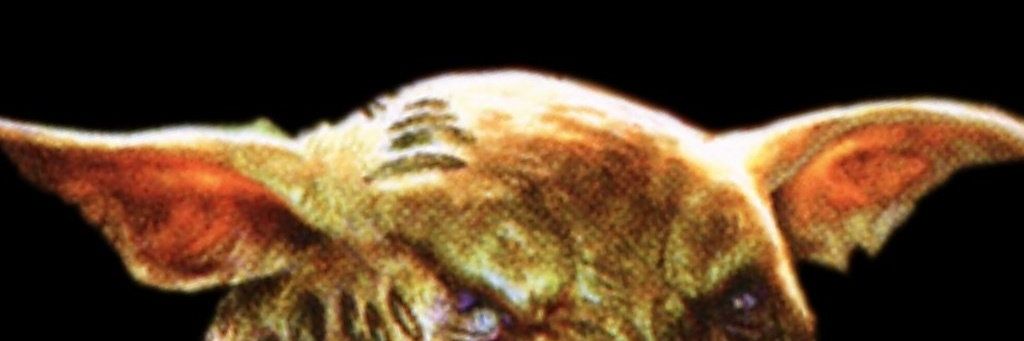 fairdogs's profile banner image