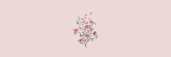 nmoops22 Profile Banner