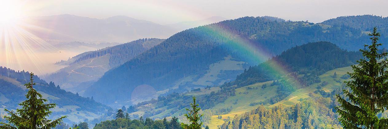 LeeTHaley's profile banner image