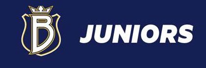 BluesBAK's profile banner image