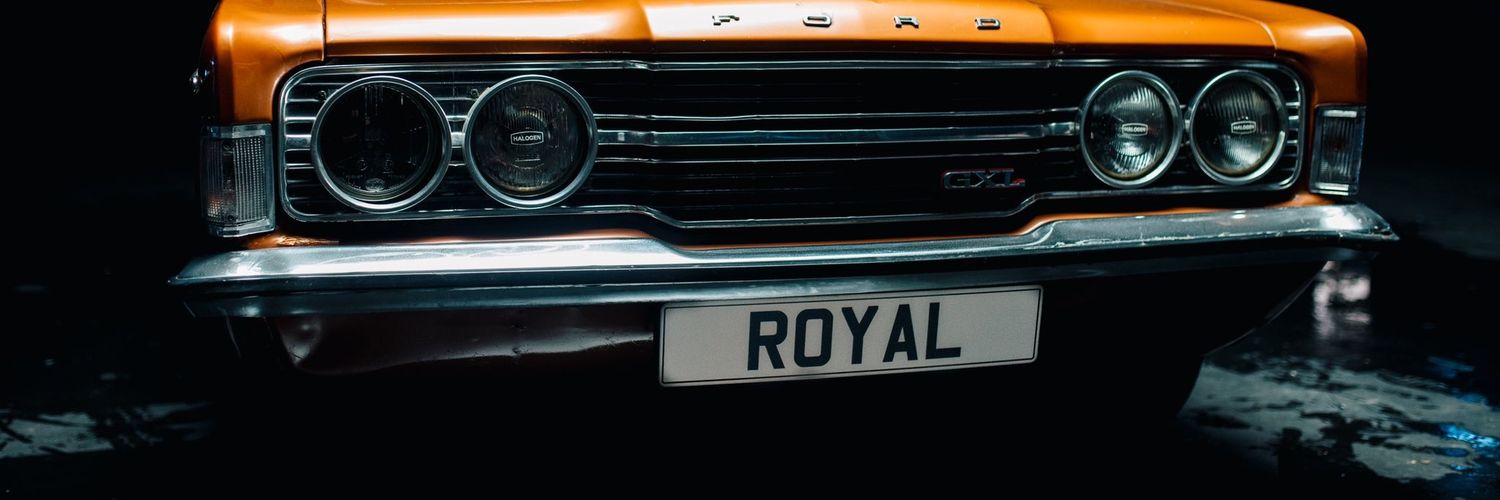 straycatjules's profile banner image