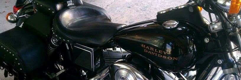 ♥ Raine Devries (Biker/Girl) ♥ banner