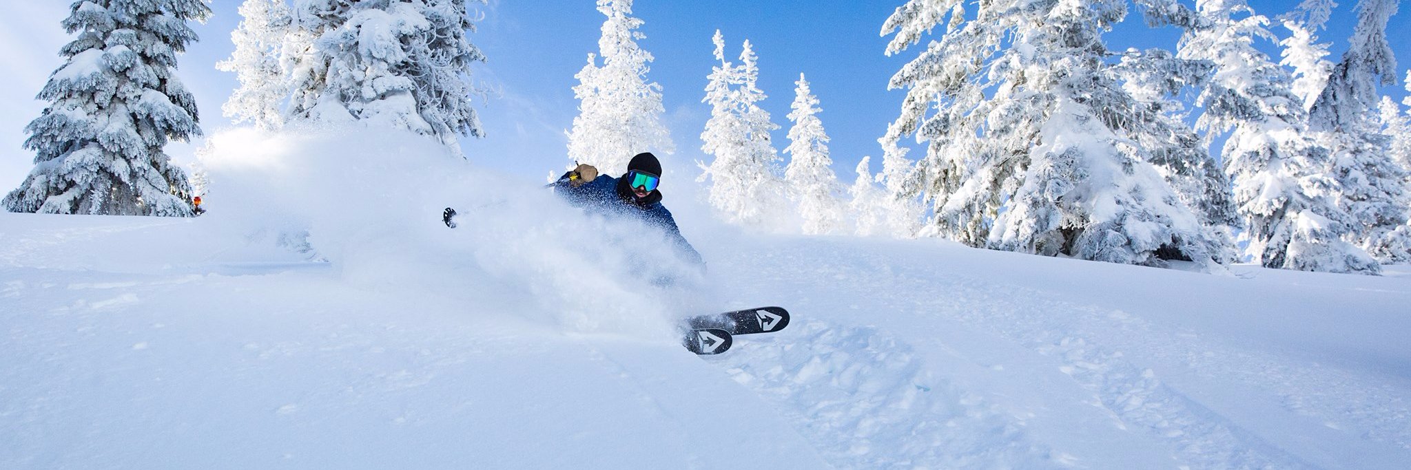 Mt Hood Skibowl banner