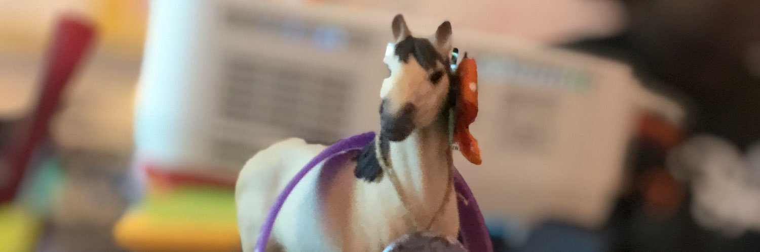 MrsReedr1's profile banner image
