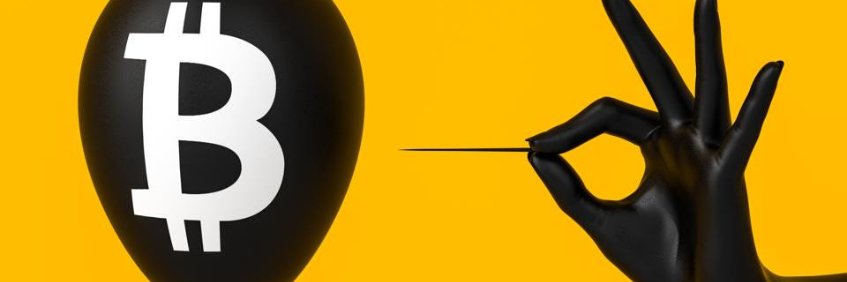 cryptodarina's profile banner image