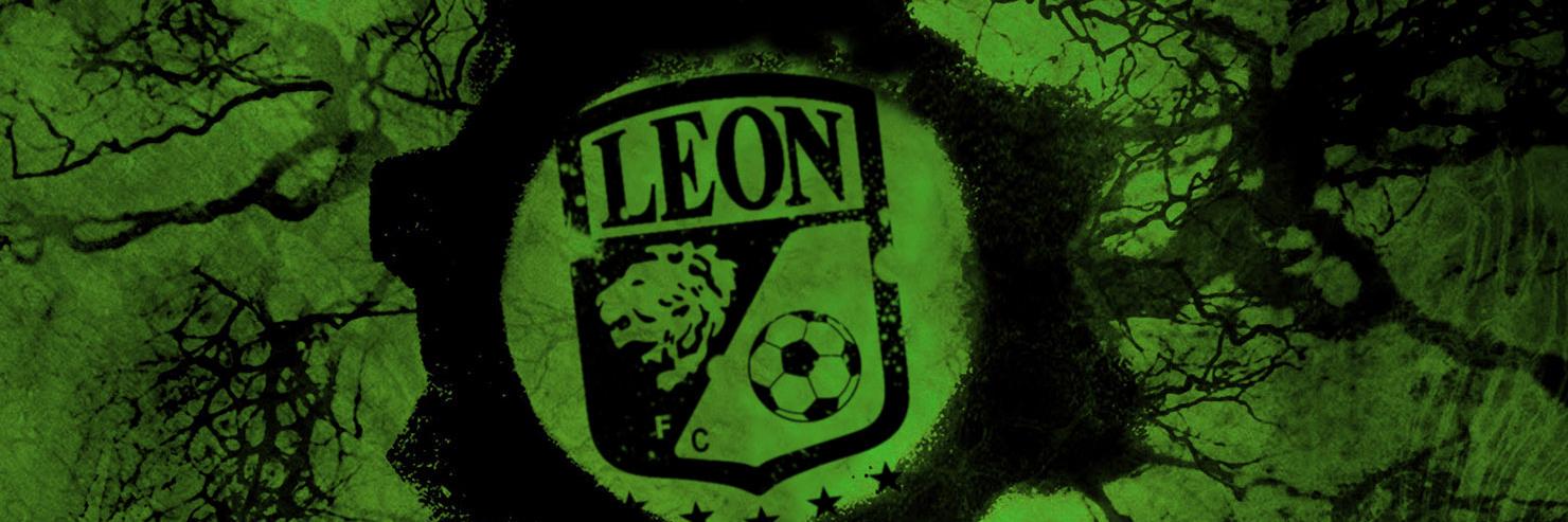 Zorryleon's profile banner image