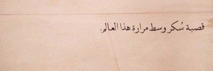 سيلين 🦌 banner