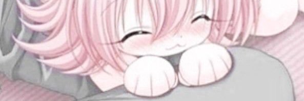 Spider 🕷️🕸️ banner