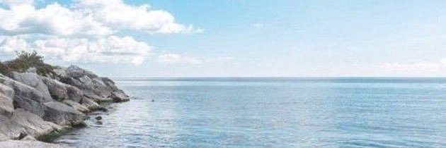 morgangbond's profile banner image