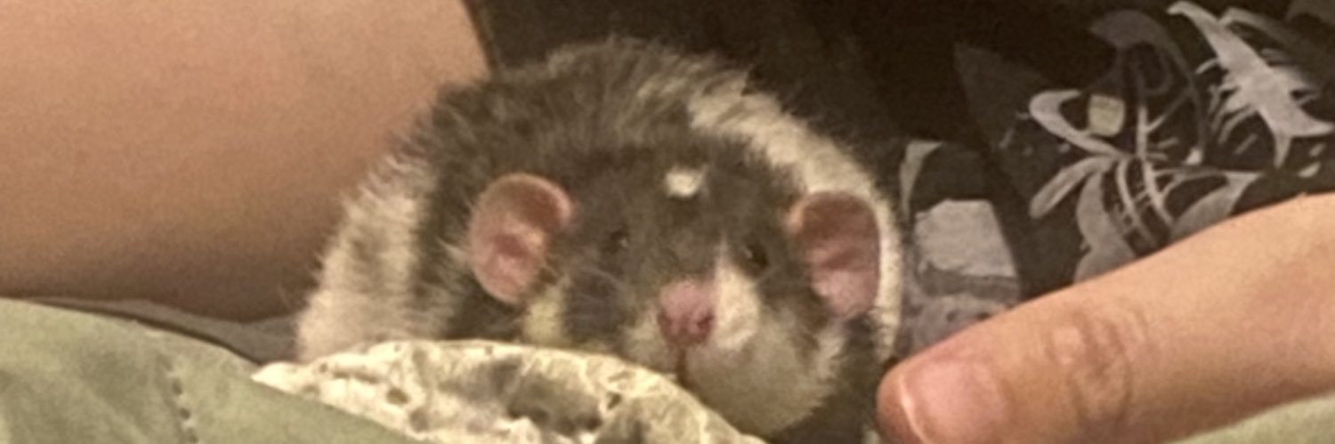 onlyr4ts's profile banner image