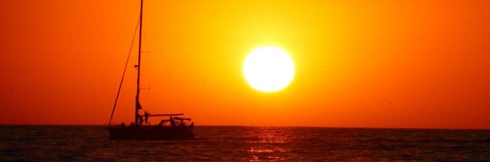 Stuart Daynes banner