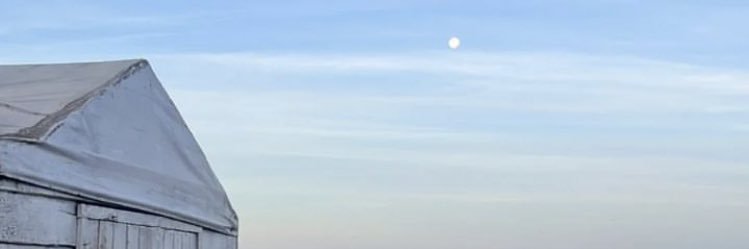 AgusCardarelli1's profile banner image