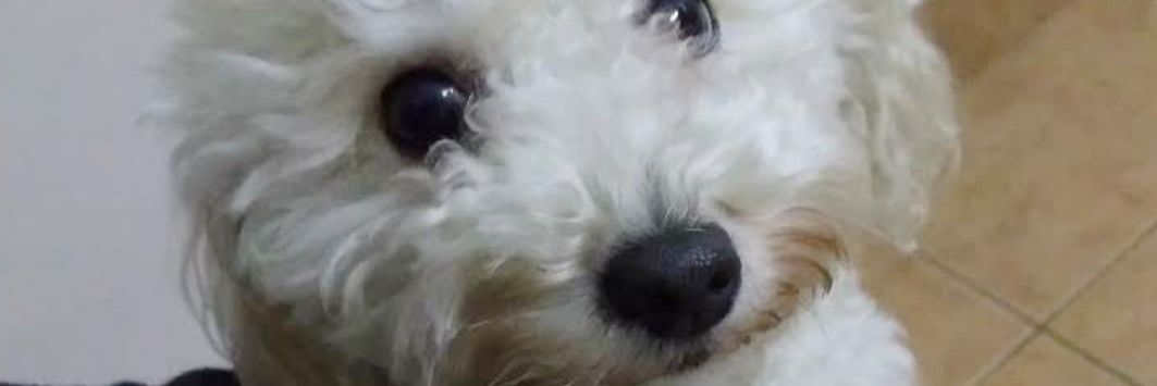 manutobalina's profile banner image