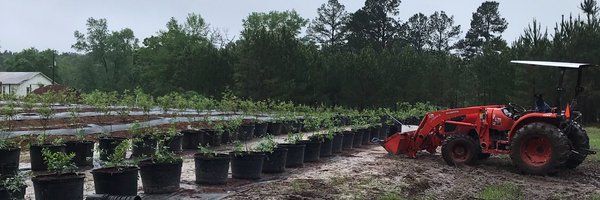 TwigBerry2024 Profile Banner