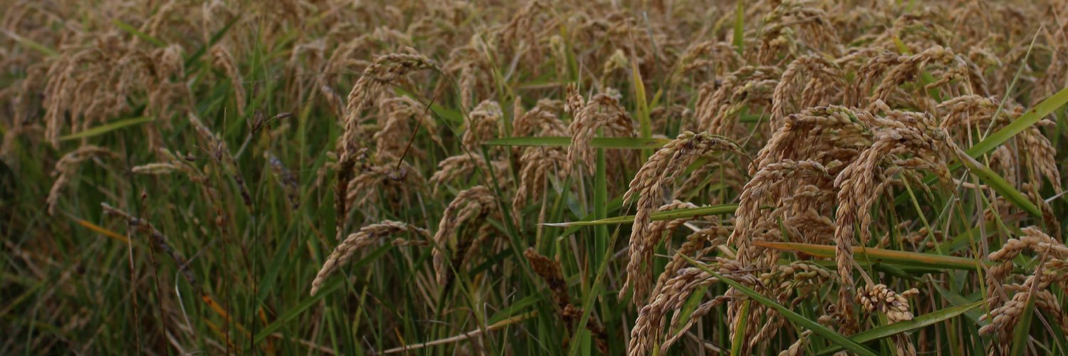 marcfpla's profile banner image