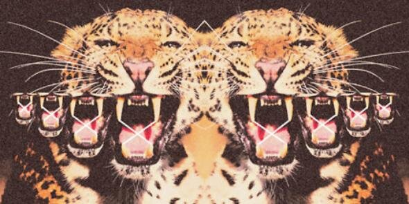 THCourtney_'s profile banner image