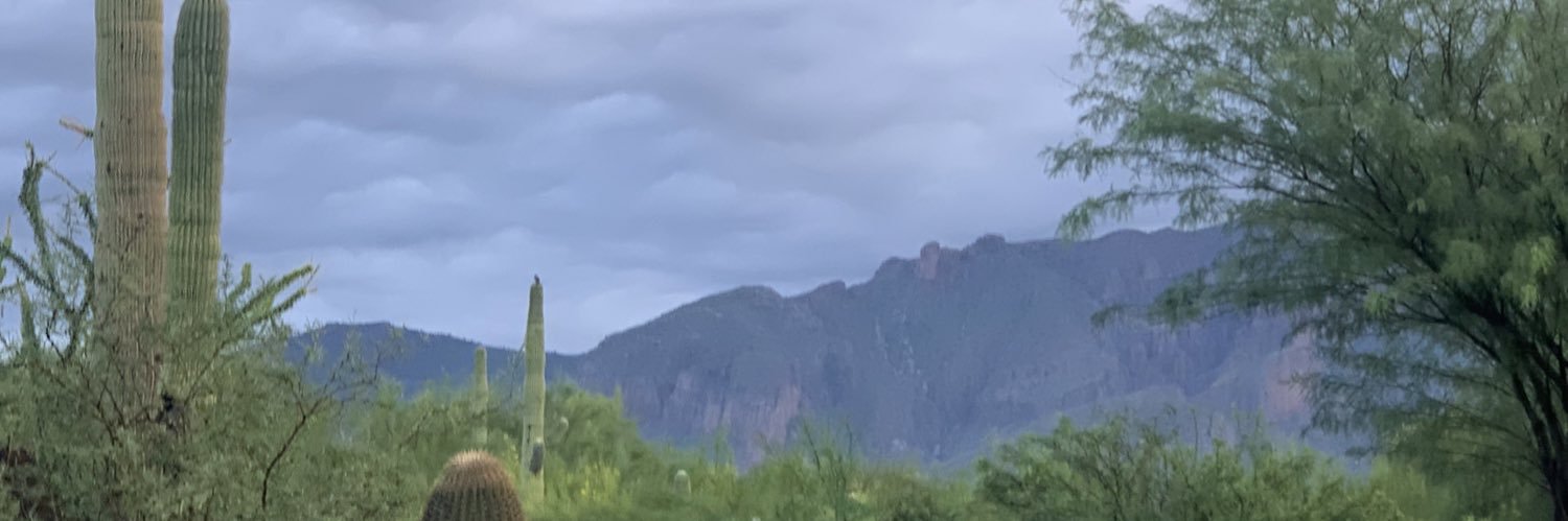 40GAPRAMOS's profile banner image