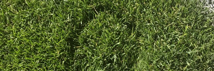 blmboulder's profile banner image