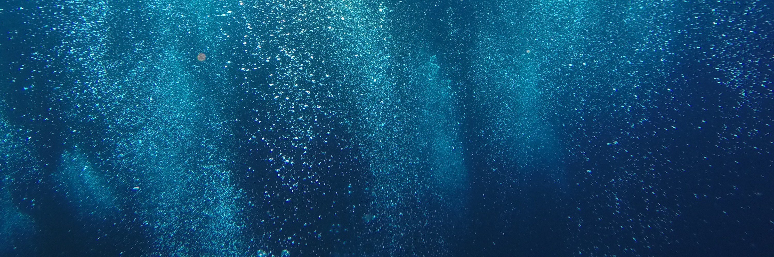 Lauren Ra'chel banner