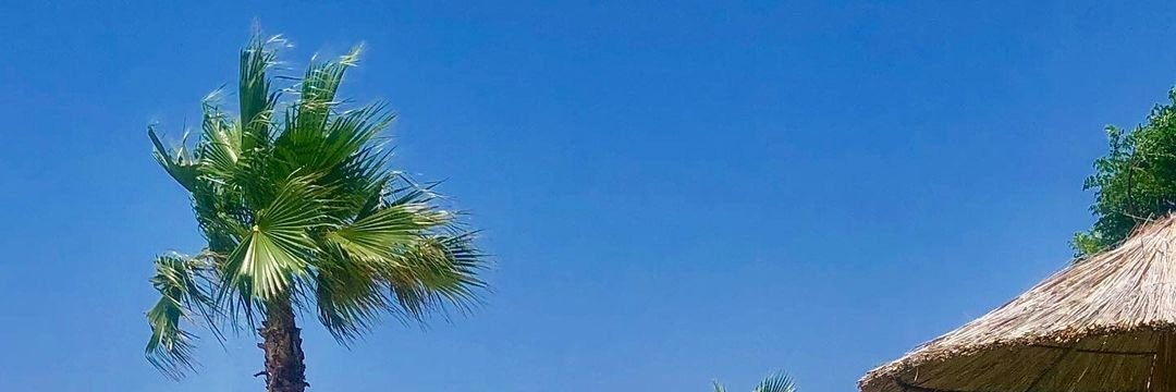 OllaShopFont's profile banner image