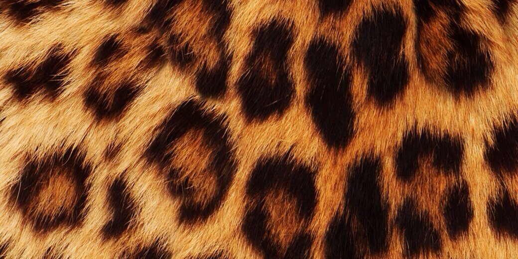 LiLDhiera's profile banner image