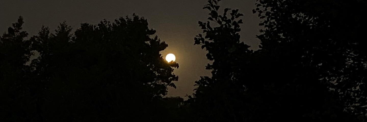 franjuarez_'s profile banner image