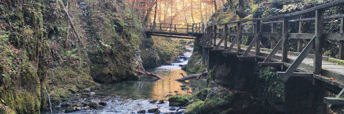 0xPete_'s profile banner image